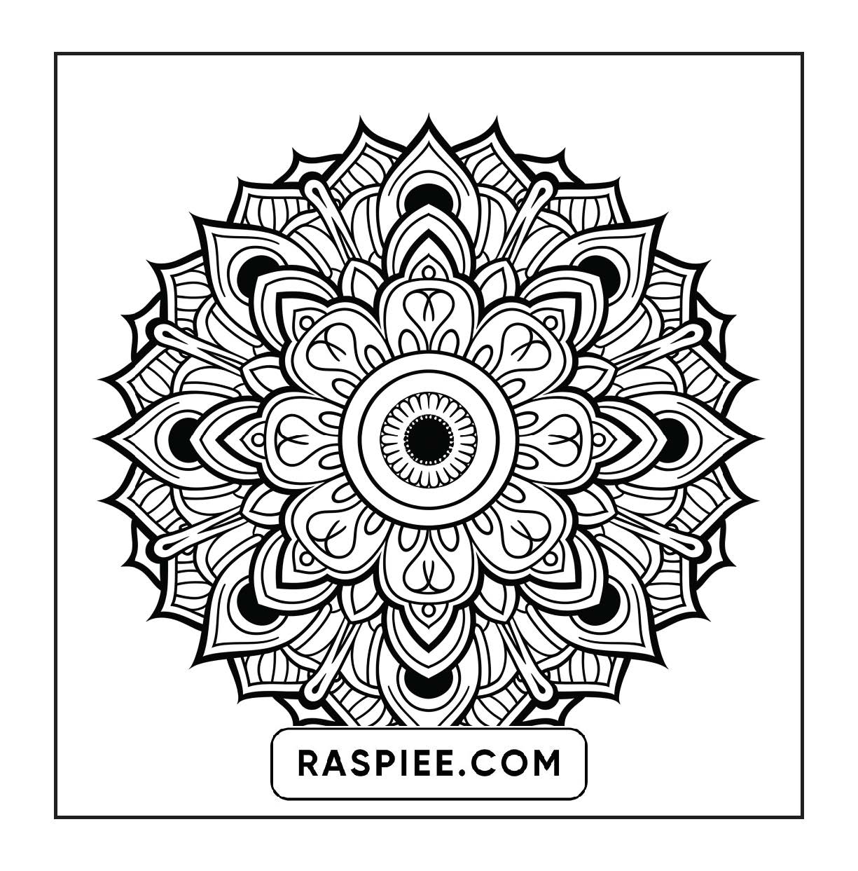 250 Mandala Adult Coloring Pages Vol.4