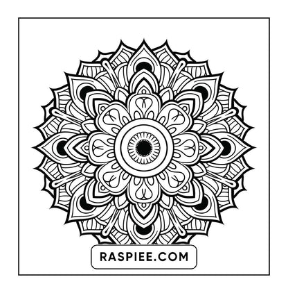 250 Mandala Adult Coloring Pages Vol.4