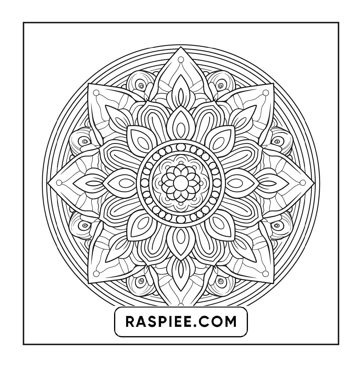 250 Mandala Adult Coloring Pages Vol.4