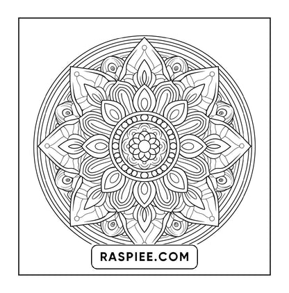 250 Mandala Adult Coloring Pages Vol.4