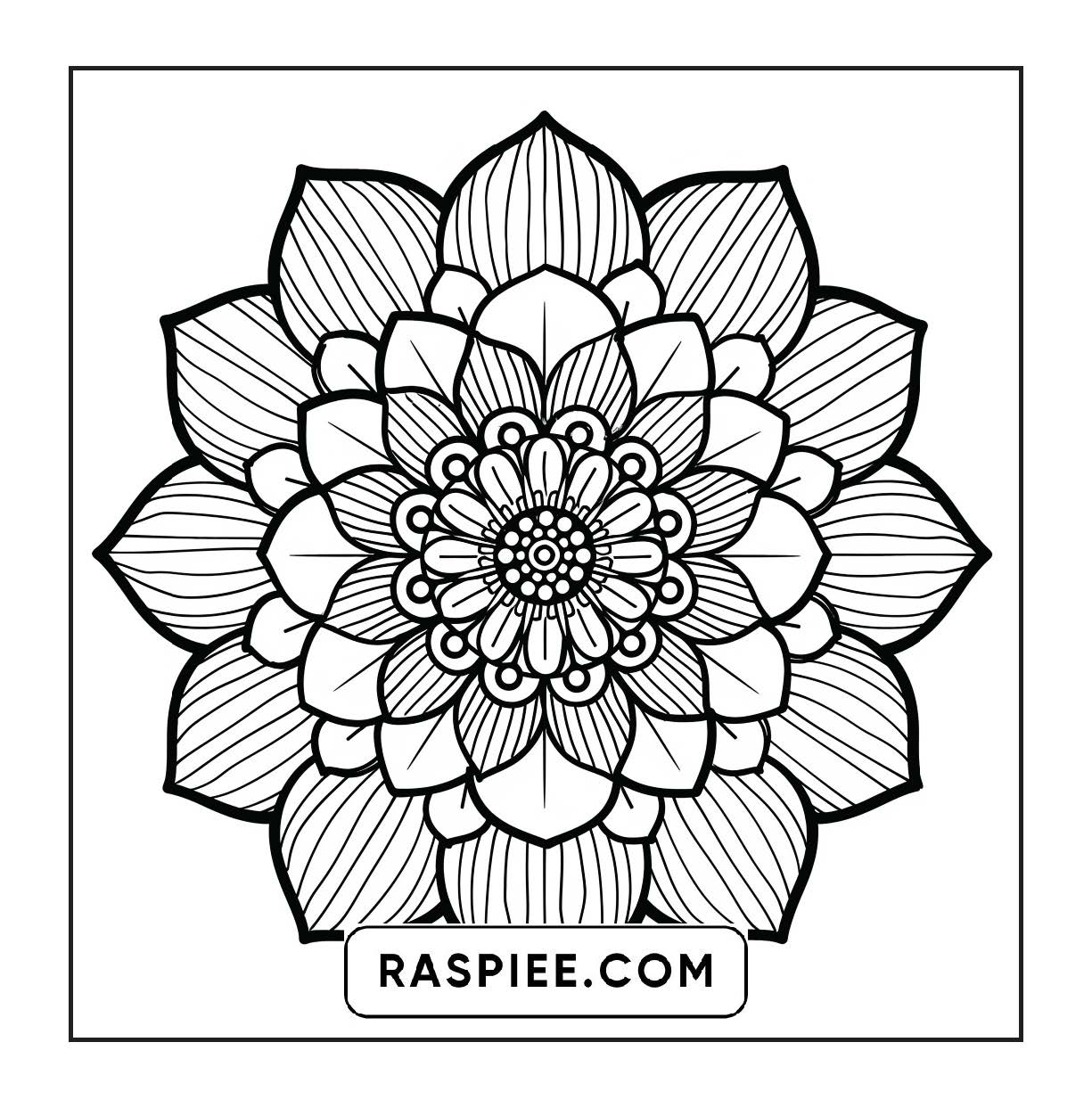 250 Mandala Adult Coloring Pages Vol.4