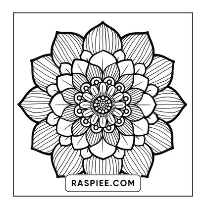250 Mandala Adult Coloring Pages Vol.4