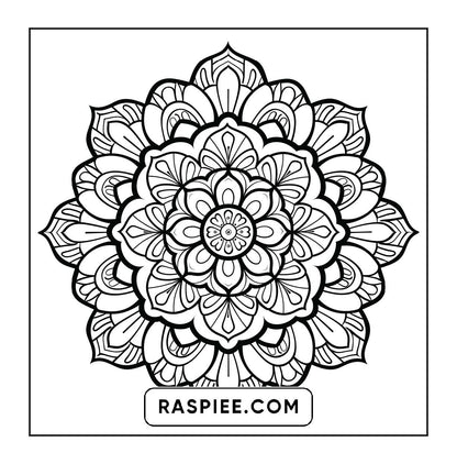 250 Mandala Adult Coloring Pages Vol.4