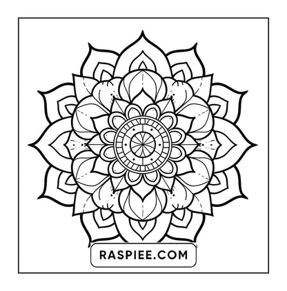 250 Mandala Adult Coloring Pages Vol.4