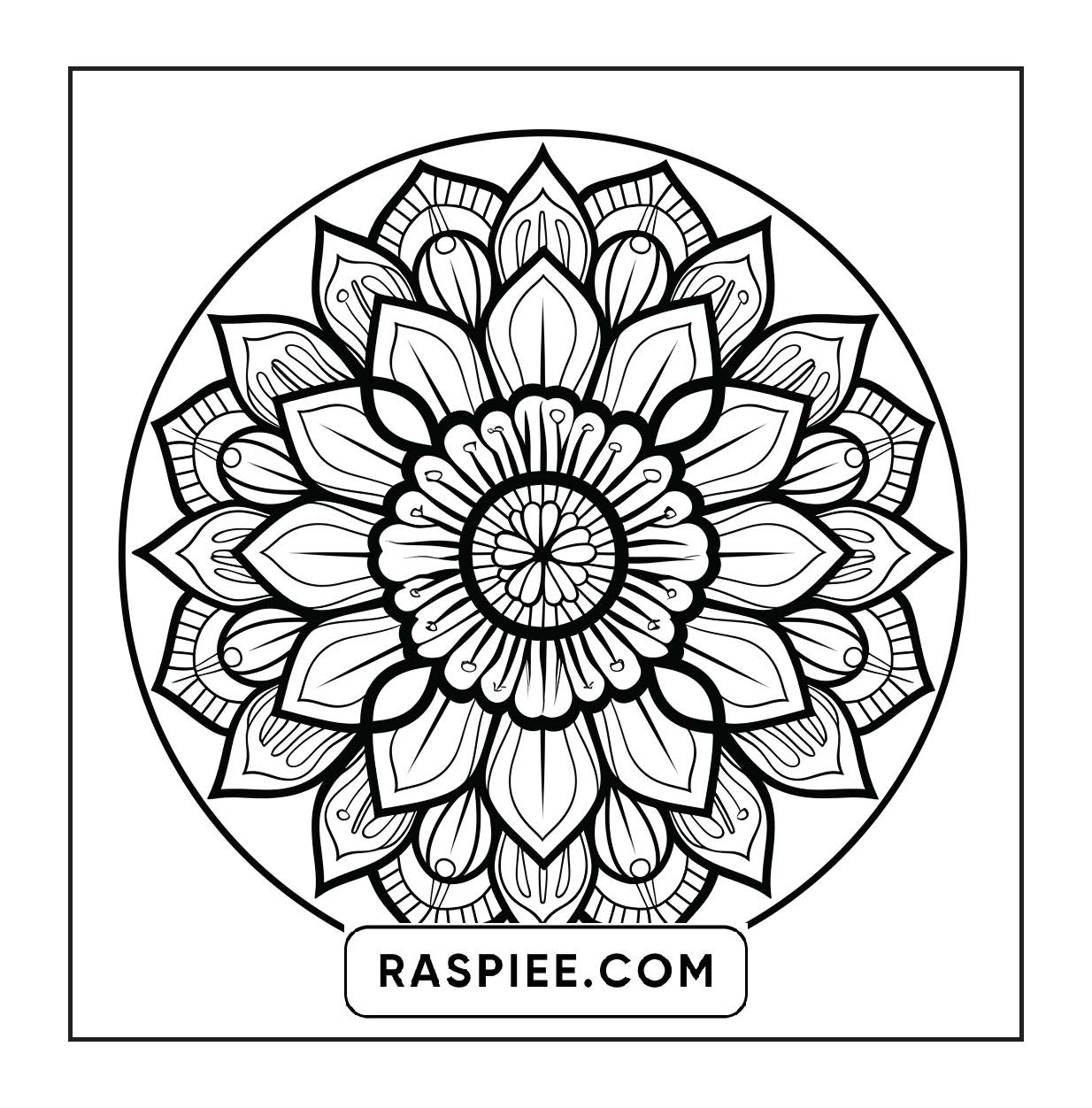 250 Mandala Adult Coloring Pages Vol.4