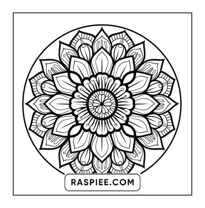 250 Mandala Adult Coloring Pages Vol.4