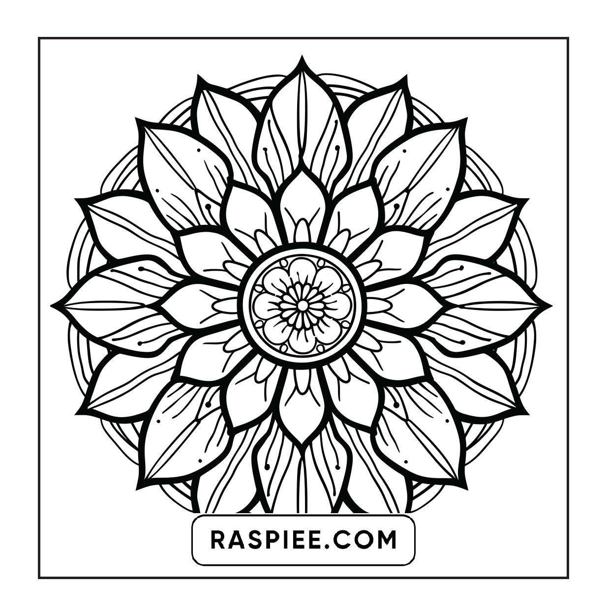 250 Mandala Adult Coloring Pages Vol.4
