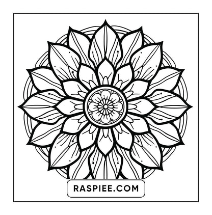 250 Mandala Adult Coloring Pages Vol.4