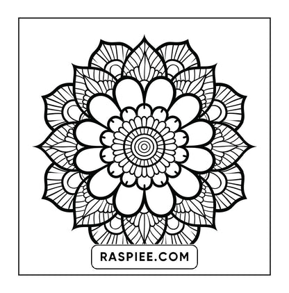 250 Mandala Adult Coloring Pages Vol.4