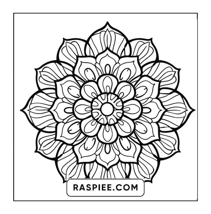 250 Mandala Adult Coloring Pages Vol.4