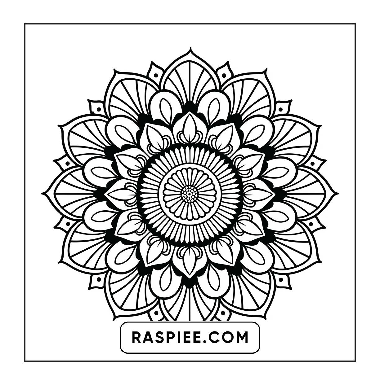 250 Mandala Adult Coloring Pages Vol.4
