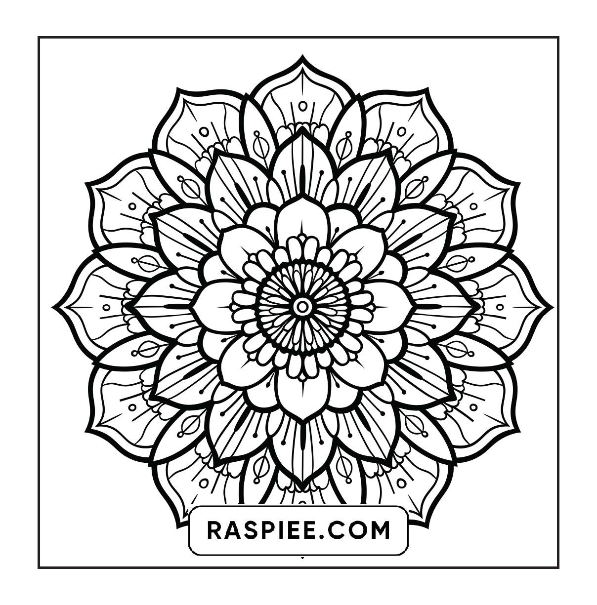 250 Mandala Adult Coloring Pages Vol.4