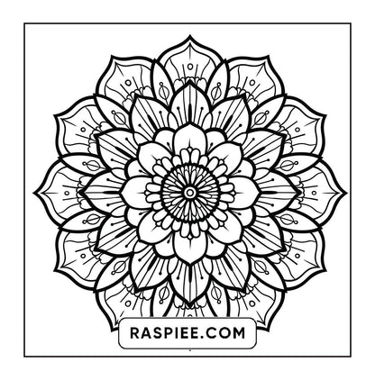 250 Mandala Adult Coloring Pages Vol.4