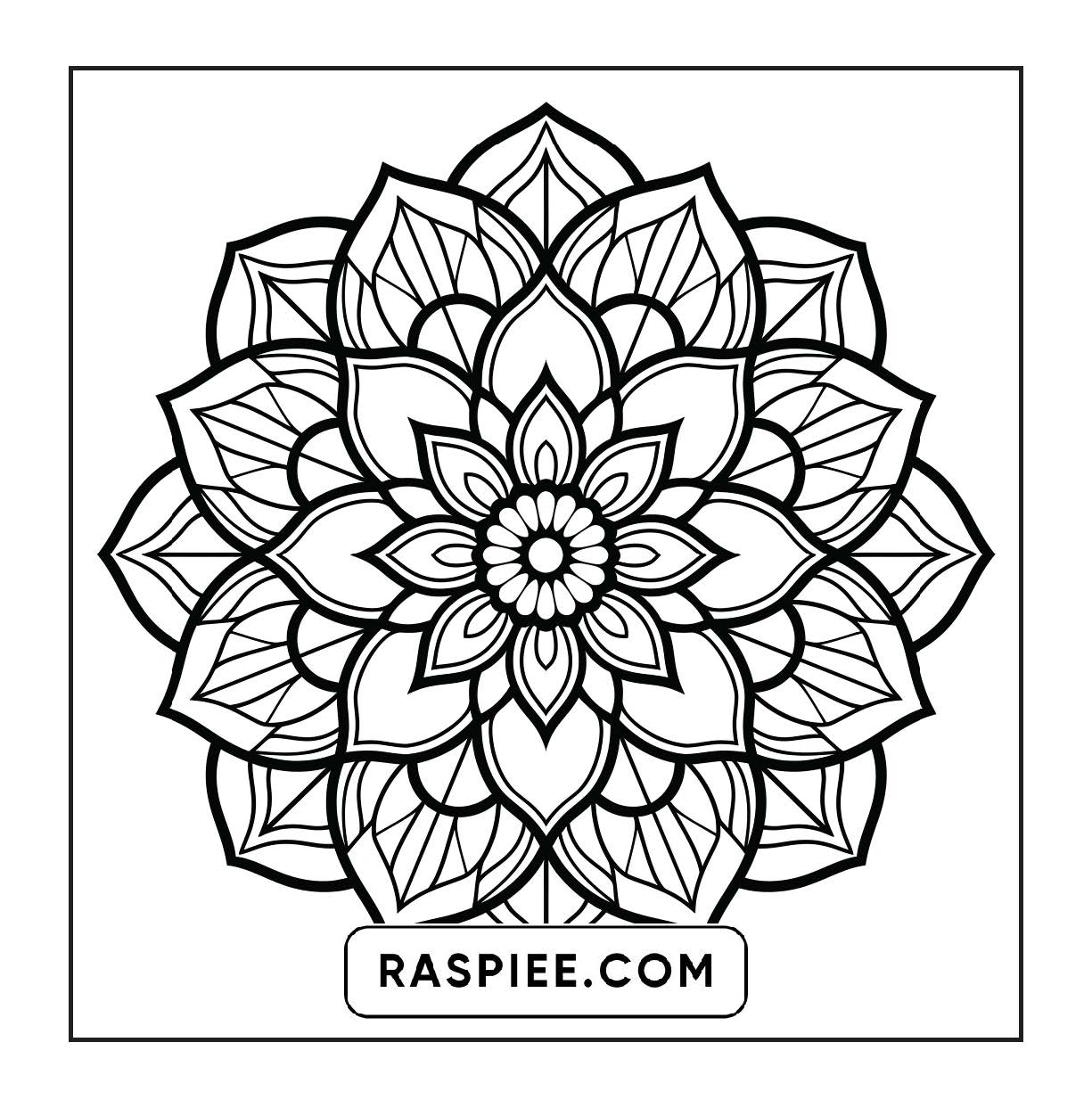 250 Mandala Adult Coloring Pages Vol.4