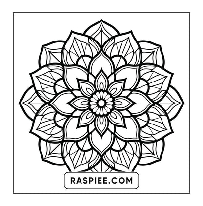 250 Mandala Adult Coloring Pages Vol.4