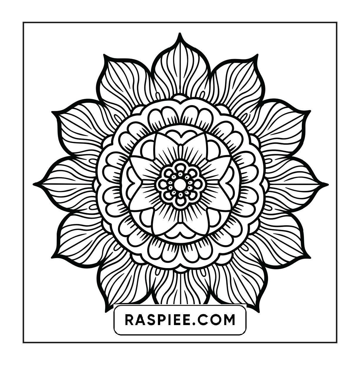 250 Mandala Adult Coloring Pages Vol.4