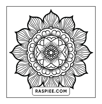250 Mandala Adult Coloring Pages Vol.4