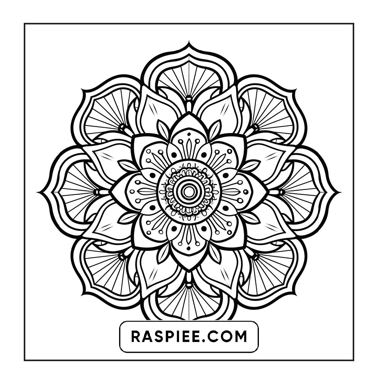 250 Mandala Adult Coloring Pages Vol.4