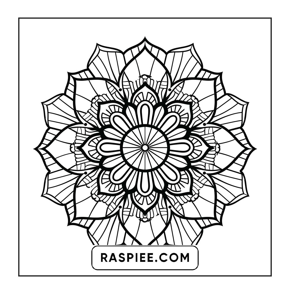 250 Mandala Adult Coloring Pages Vol.4