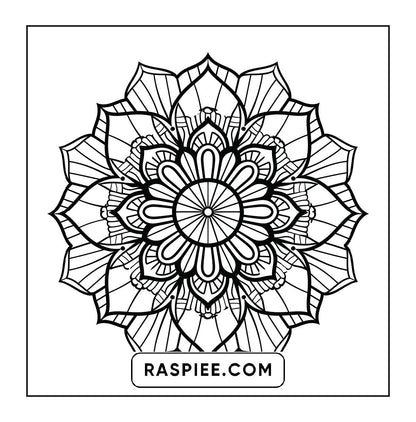 250 Mandala Adult Coloring Pages Vol.4