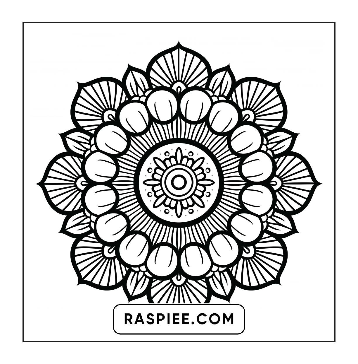 250 Mandala Adult Coloring Pages Vol.4