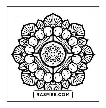 250 Mandala Adult Coloring Pages Vol.4