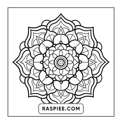 250 Mandala Adult Coloring Pages Vol.4