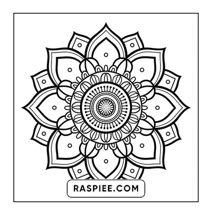 250 Mandala Adult Coloring Pages Vol.4