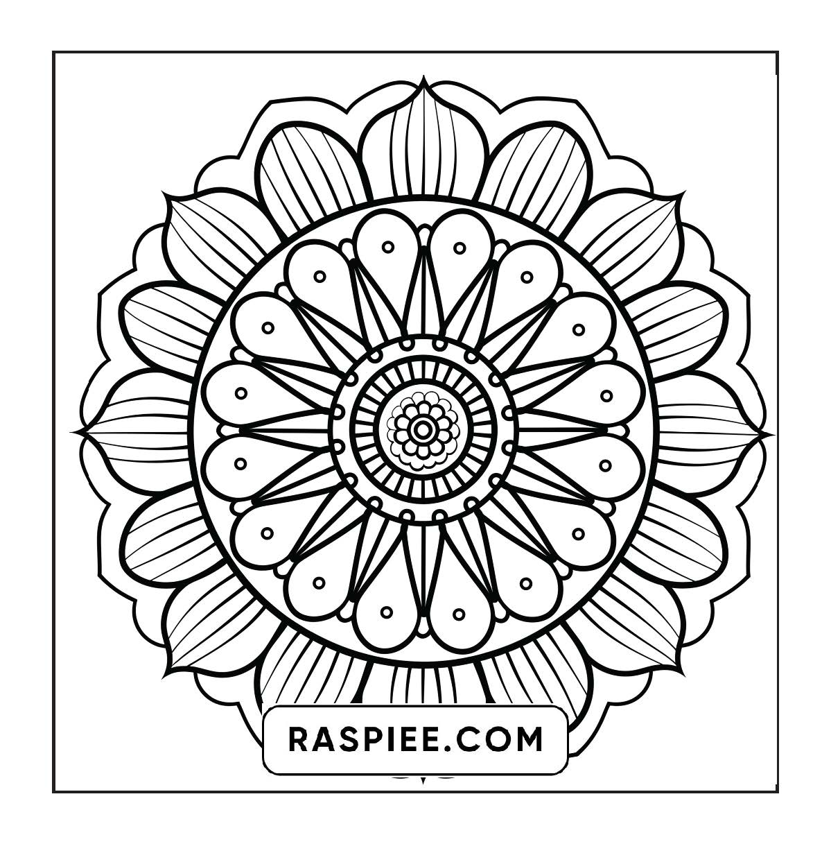 250 Mandala Adult Coloring Pages Vol.4