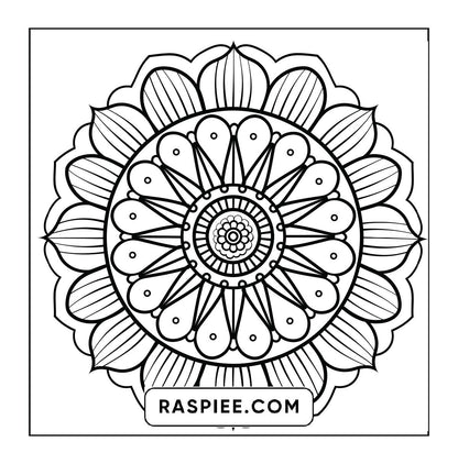 250 Mandala Adult Coloring Pages Vol.4