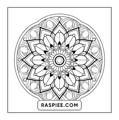 250 Mandala Adult Coloring Pages Vol.4