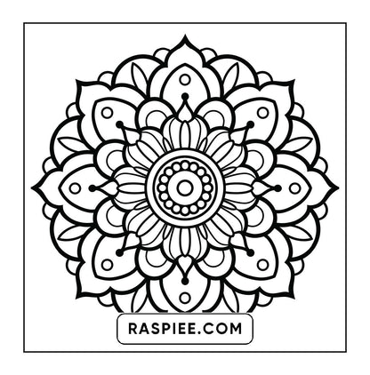 250 Mandala Adult Coloring Pages Vol.4