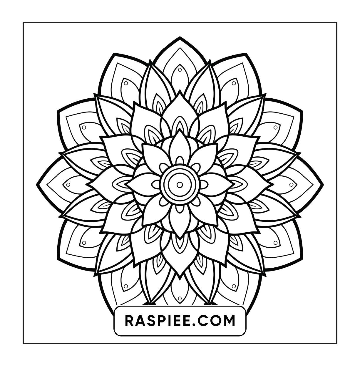 250 Mandala Adult Coloring Pages Vol.4