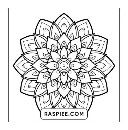 250 Mandala Adult Coloring Pages Vol.4