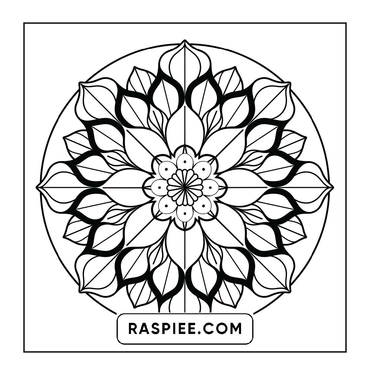 250 Mandala Adult Coloring Pages Vol.4