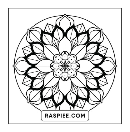 250 Mandala Adult Coloring Pages Vol.4