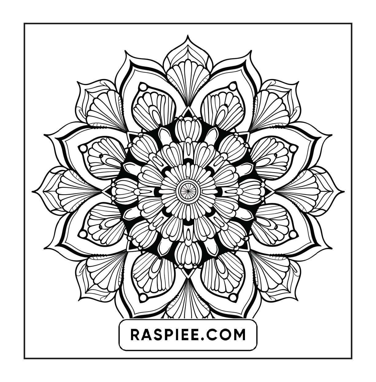 250 Mandala Adult Coloring Pages Vol.4