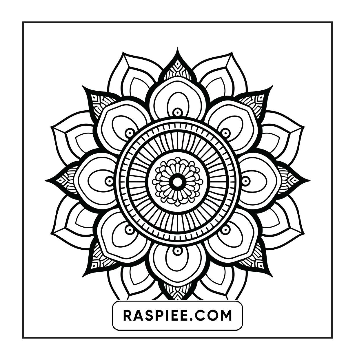 250 Mandala Adult Coloring Pages Vol.4