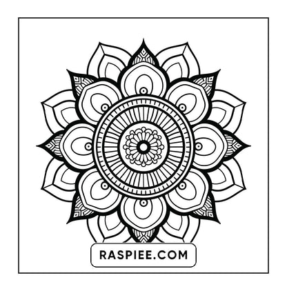 250 Mandala Adult Coloring Pages Vol.4