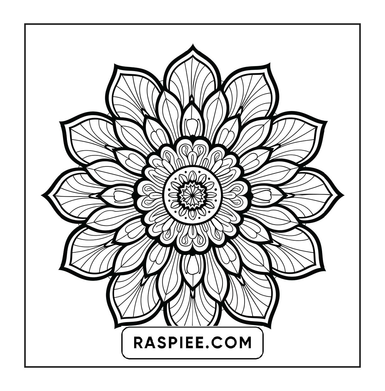 250 Mandala Adult Coloring Pages Vol.4
