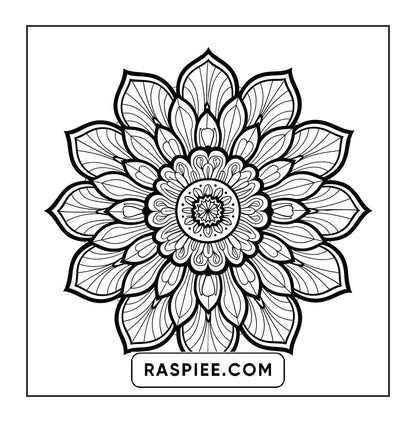 250 Mandala Adult Coloring Pages Vol.4