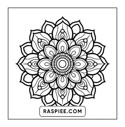250 Mandala Adult Coloring Pages Vol.4