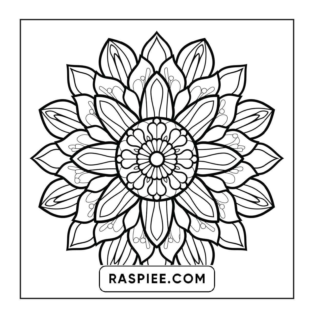 250 Mandala Adult Coloring Pages Vol.4