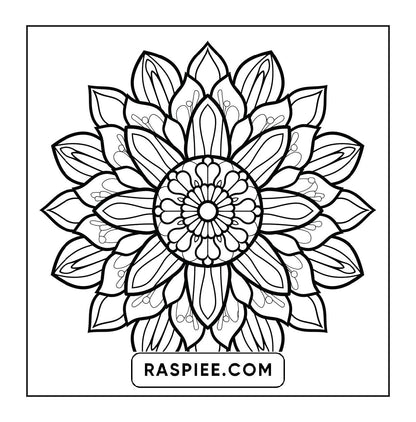 250 Mandala Adult Coloring Pages Vol.4