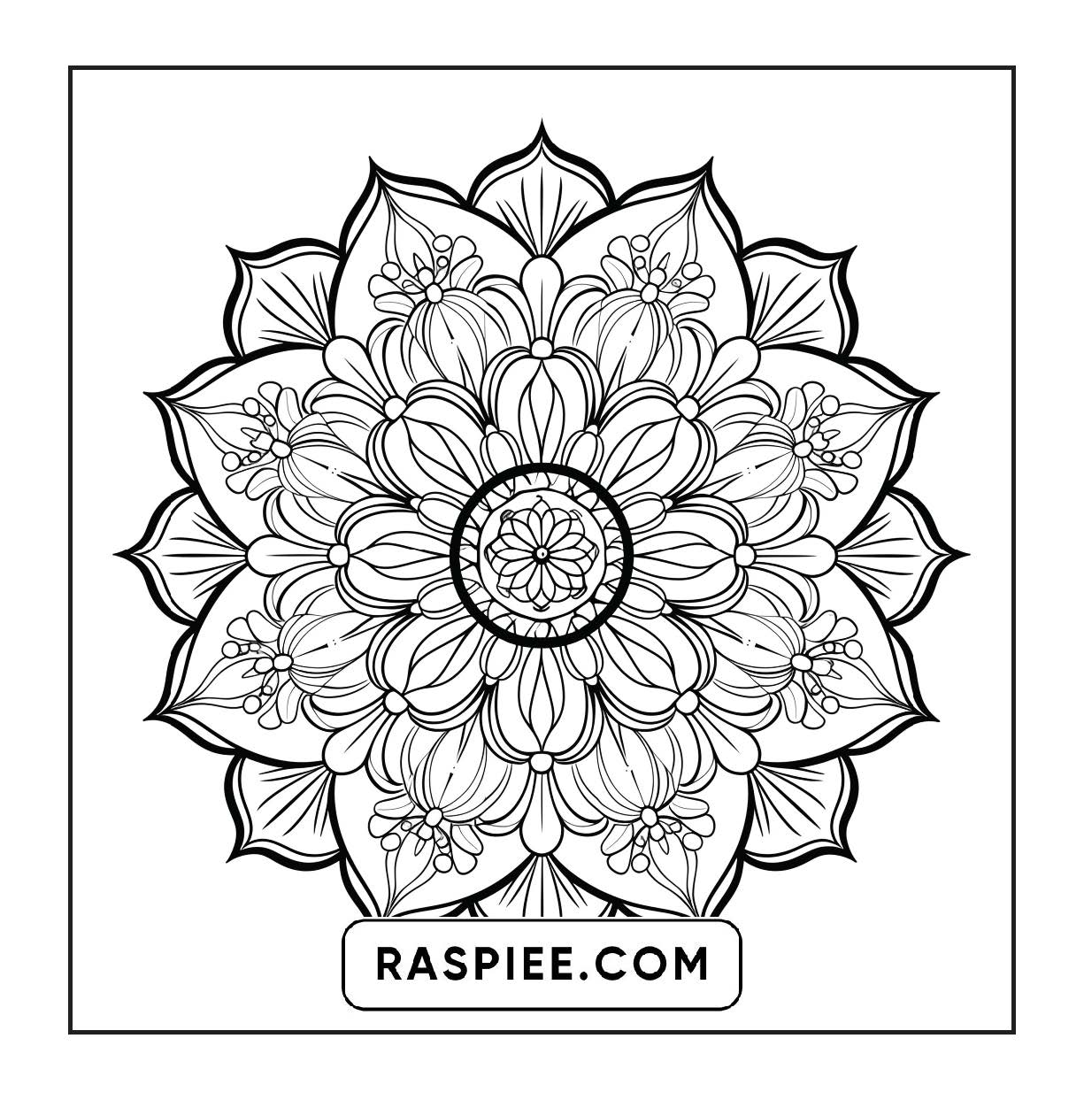 250 Mandala Adult Coloring Pages Vol.4