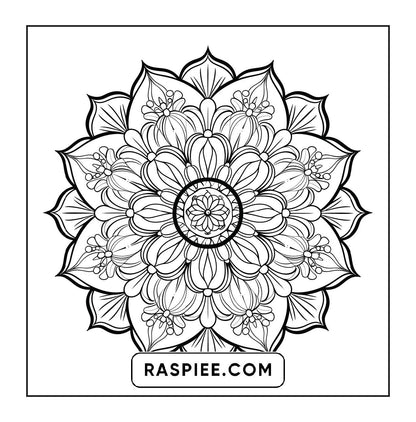 250 Mandala Adult Coloring Pages Vol.4