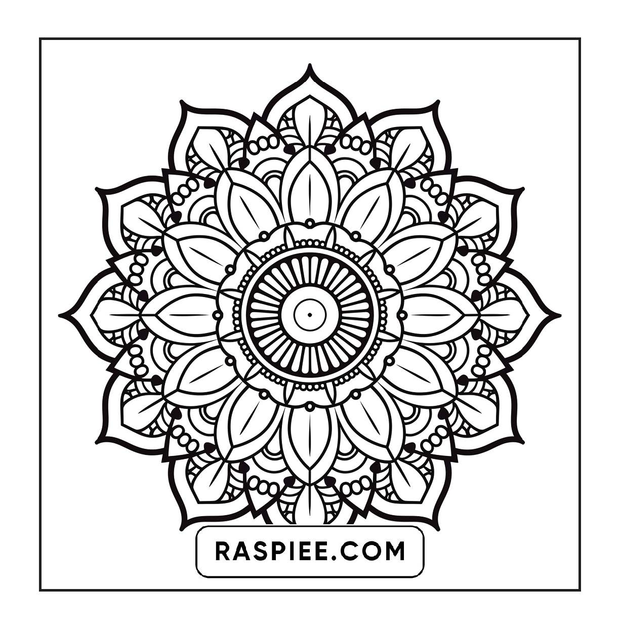 250 Mandala Adult Coloring Pages Vol.4