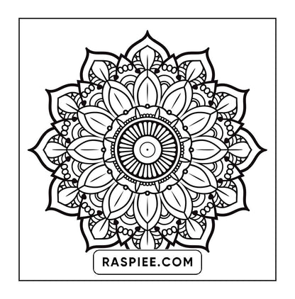 250 Mandala Adult Coloring Pages Vol.4