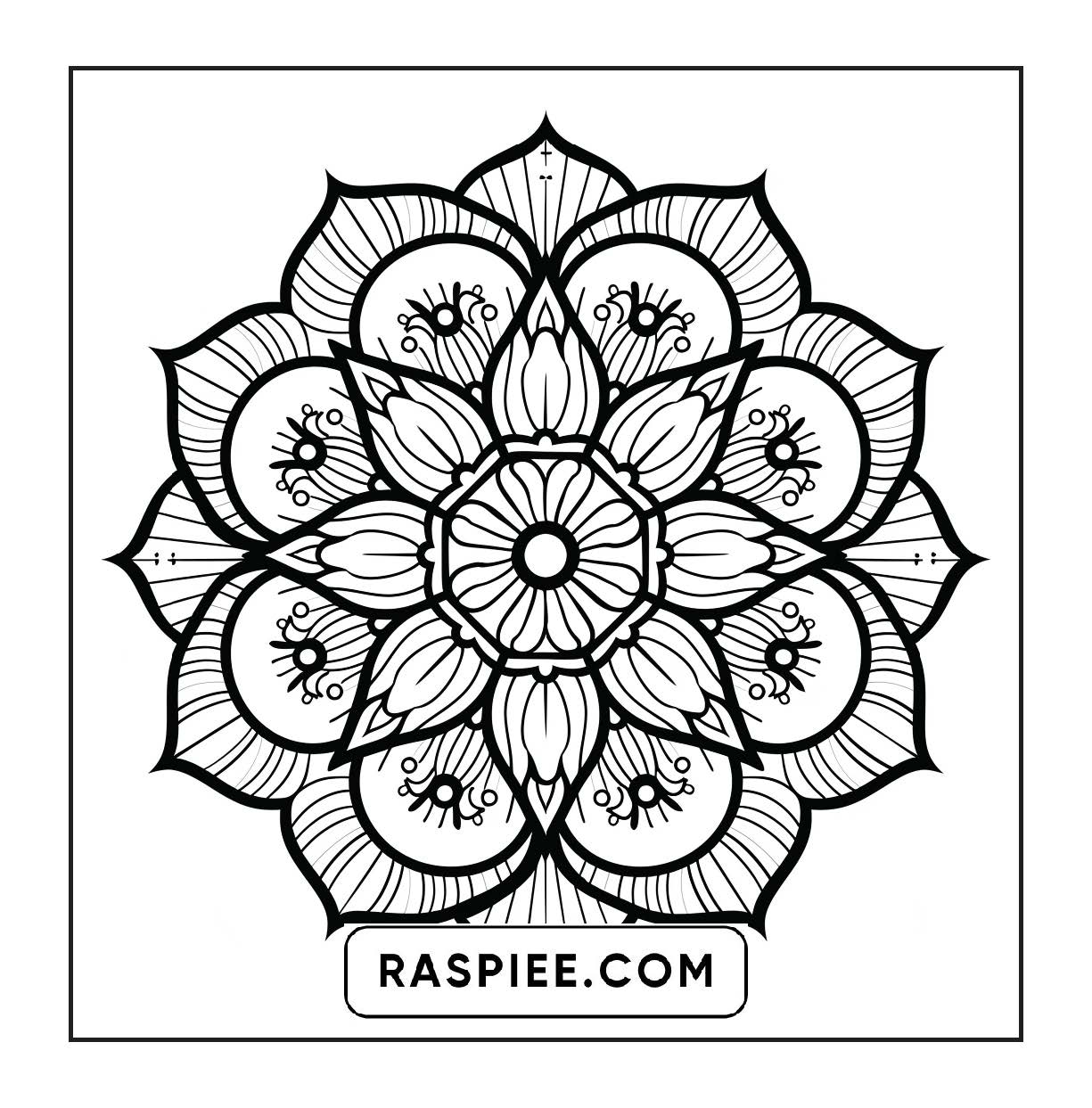 250 Mandala Adult Coloring Pages Vol.4