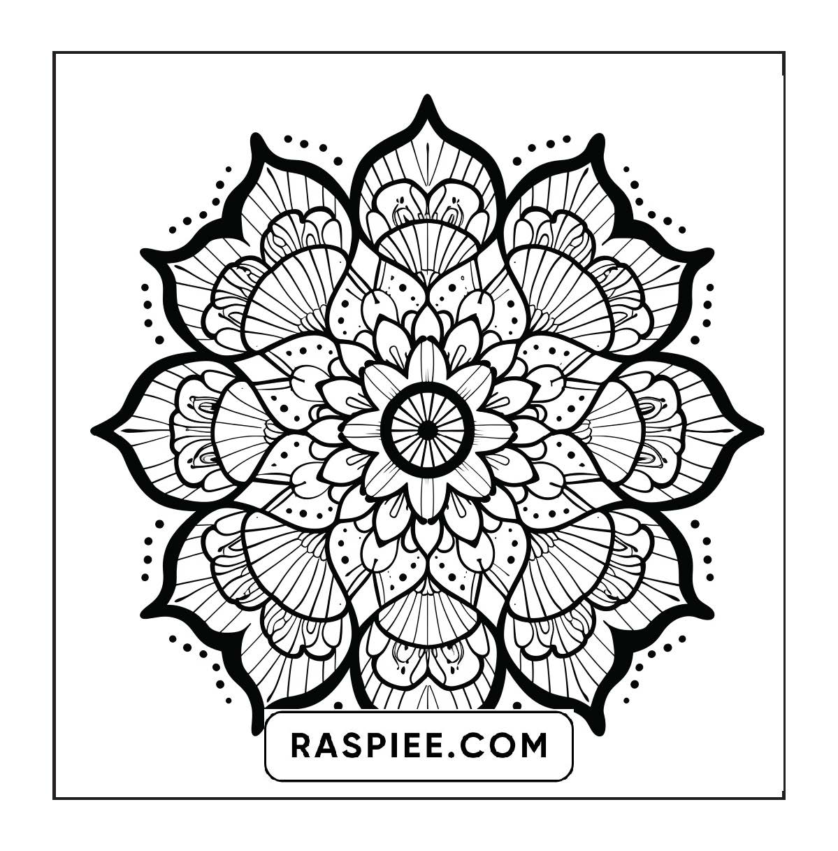 250 Mandala Adult Coloring Pages Vol.4